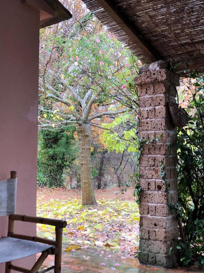 Willa La Casa Nel Bosco Lari Zewnętrze zdjęcie