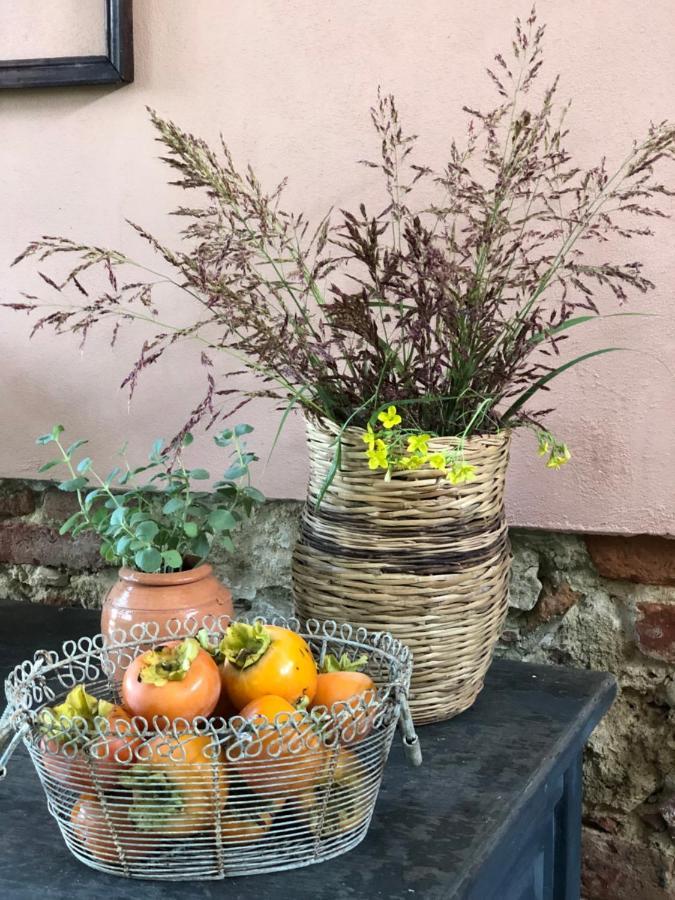 Willa La Casa Nel Bosco Lari Zewnętrze zdjęcie