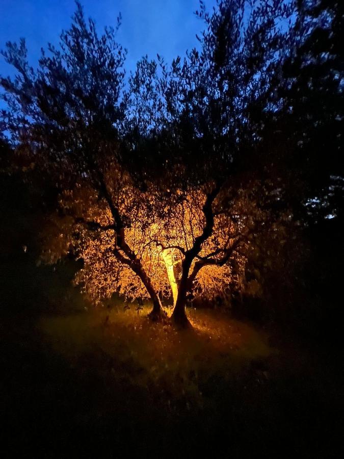 Willa La Casa Nel Bosco Lari Zewnętrze zdjęcie